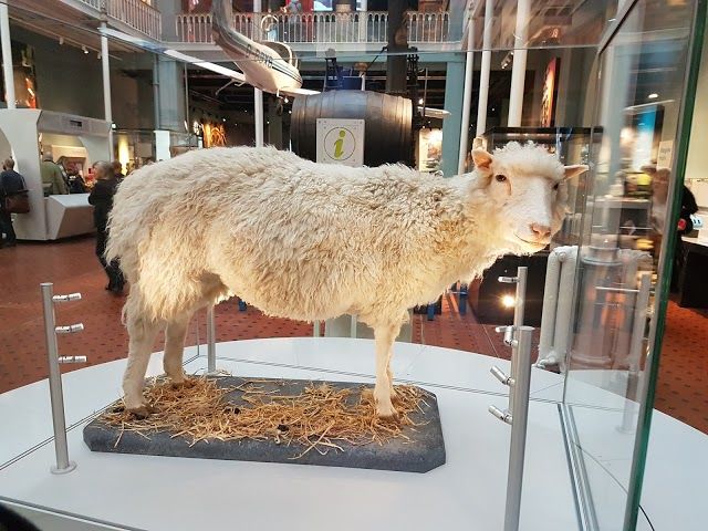 Skottlands nationalmuseum